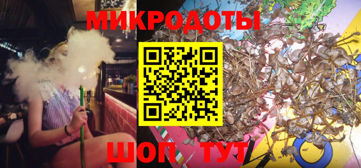 Сокол  Псилоцибиновые грибы ЛСД  Вход с VPN 
